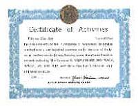 Внешний вид диплома CERTIFICATE OF ACTIVITIES