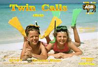 Внешний вид диплома TWIN CALLS ( ПОЗЫВНЫЕ-БЛИЗНЕЦЫ)