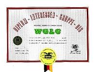 Внешний вид диплома WGLC (WORKED GERMAN LARGE CITIES)
