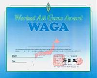 Внешний вид диплома WAGA (WORKED ALL GUNS AWARD)