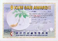 Внешний вид диплома GEUMSAN AWARD II