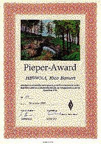 Внешний вид диплома PIEPER AWARD