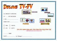 Внешний вид диплома TV – FV AWARD