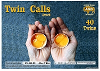 Внешний вид диплома TWIN CALLS 40