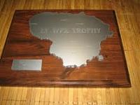 Внешний вид диплома LY WPX Trophy