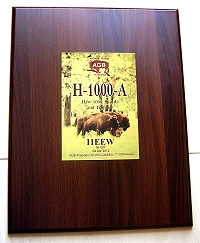 Внешний вид диплома H-1000-A - Have 1000 Awards