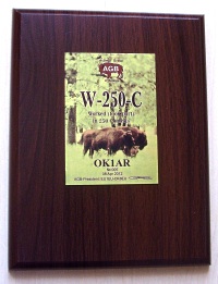 Внешний вид диплома W-250-C - Worked in 250 CONTESTs