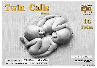 Внешний вид диплома TWIN CALLS 10