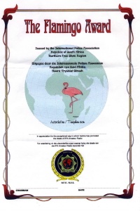 Внешний вид диплома FLAMINGO AWARD