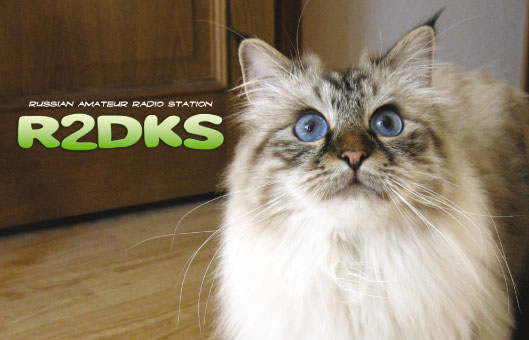 R2DKS R2DKS