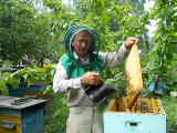 UT2CM UT2CM