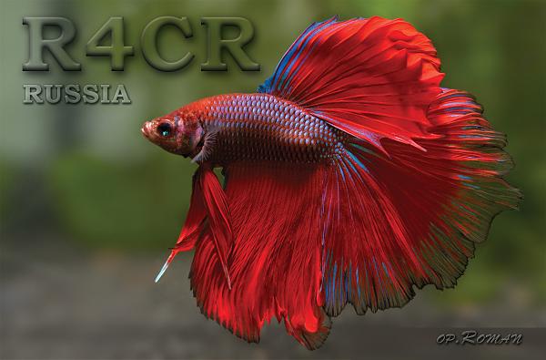 R4CR R4CR