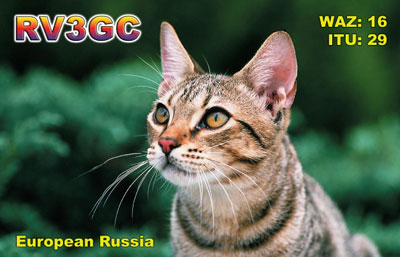 RV3GC RV3GC