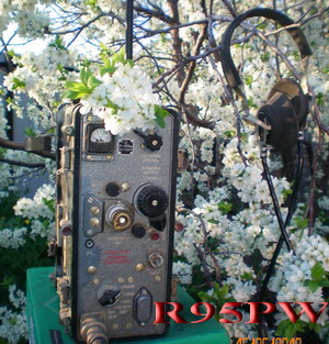 R95PW R95PW