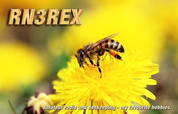 RN3REX RN3REX