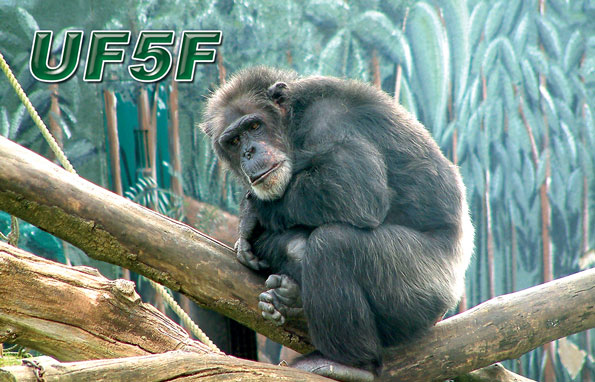 UF5F UF5F