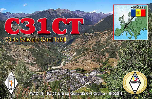 C31CT C31CT