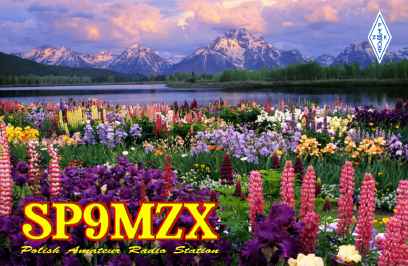SP9MZX SP9MZX