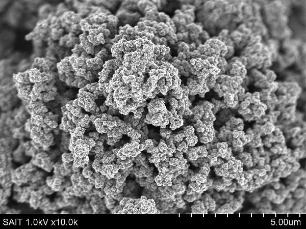 Так графеновые шарики выглядят под микроскопом.